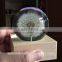 Custom Real dandelion paperweight gift