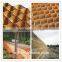 HDPE Green Yellow White Black Geocell Manufacture Supply good Price