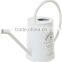 Customized antirust eco-friendly galvanized metal watering can