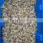 Frozen all kinds of clam in wholesale clam new produced