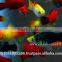 Platy Fish Farm For Sale / Ornamental Fish Exporter