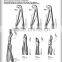 english pattern extracting forceps