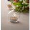 European-style glass Candleholders