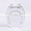 Factory Supply Attractive Price Hygienic Luxury Toilet Seat