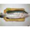 frozen sea bass fish frozen seabass fish barramundi fish