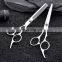 Professional Wholesale Hair Scissors Cut Hair Cutting Salon Scissor Barber Thinning Shears Scissors Set