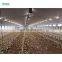 prefabricated galvanised steel portal frame cow sheds house for chicken