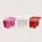 Amazing Food Grade Brazil Reusable Custom Red 10 Cavity Silicone Popsicle Ice Cream Mold