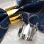 Shiny Gold And Silver Colored Napkin Ring With Crown Shaped