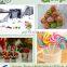 dia formed automatic Lollipop making machine