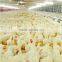 Automatic chicken poultry farm equipment