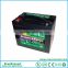 Promotion price EverExceed Standard Range VRLA rechargeable 12v 100ah agm battery / rechargeable battery with UL/CE/IEC