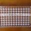 96 hole reaction plate culture plate PS blood coagulation board