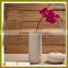 Modern style excellent quality famille simple table vases decoration made by artist
