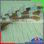 Shenzhen factory Brighting Great Wall RGB flexible led strip, 12V 9 volt led lighting