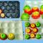 China Supplier Safety Food Grade Plastic Fruit Tray with holes
