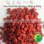 wholesale dried berry goji price