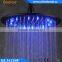 12'' Round Black Top Shower SS304 Wall Mounted Color Changing LED Shower Head