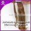 Hot Sale remy clip in pony tail with 22" in 100G, more color on stock