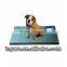Cattle Weighing Scale