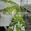 5metwr long large plastic agricultral soilless cultivation growing tray /strawberry vertical cultivation