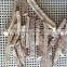 VF Dried Vegetables Sticks -VF Dried Taro Sticks for Sale