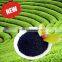 Soluble Organic Fertilizer Humic Acid, Humic Acid Powder