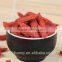 Zhongning red Goji berry /high quality