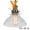 Factory Wrought Joey Industrial Pendant Lamp Hand Blown Track Light Vintage Glass Dome Hanging Lamp