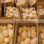 Fresh Potato Factory Sell Holland Potato With Low Price