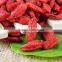 High quality goji berries 280grains/50g