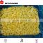 china price hot sales frozen mango dices