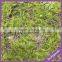 LTX009-LTX012 indoor background artificial moss for decoration