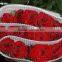 High grade fresh cut flower wholesale black magic 002 rose