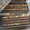 hot sale customized two levels beehive