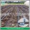 PE Flexible Layflat Drip Irrigation Pipe For Agriculture Irrigation System