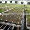 Hot Dipped Galvanized Planting Table Greenhouse Seedbed