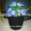 hot sale GEO fabric green grow bag for garden house garden plant bag