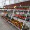 204 Display flower cart pot trolley rack