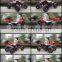 250CC QUAD ATV WR250R VTT ADULT TRICYCLE