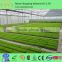 Greenhouse/Hydroponics Vegetative led grow light 60x3w grow lamps led Indoor Garden Grow Tent Used High Power