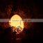 LED garden ball/ rechargeable LED ball light/ LED sphere light