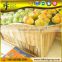 Fruit and vegetables wooden display shelves for supermarket