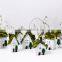 Home Decorations Miniature of ten houses of green roofs