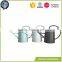 Best Quality Mini Gary Kids Metal Watering Can