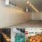 Cold Room Cold Storage for Fuits