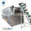 Taizy Automatic Cashew Sunflower Seeds Roaster Machinery Peanut Chestnut Cashew Nut Sesame Rice Roasting