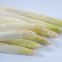 IQF White asparagus spears