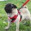 Spring Super Cool Mesh harness adjustable dog harness set small to large