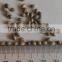 Hemp seed
